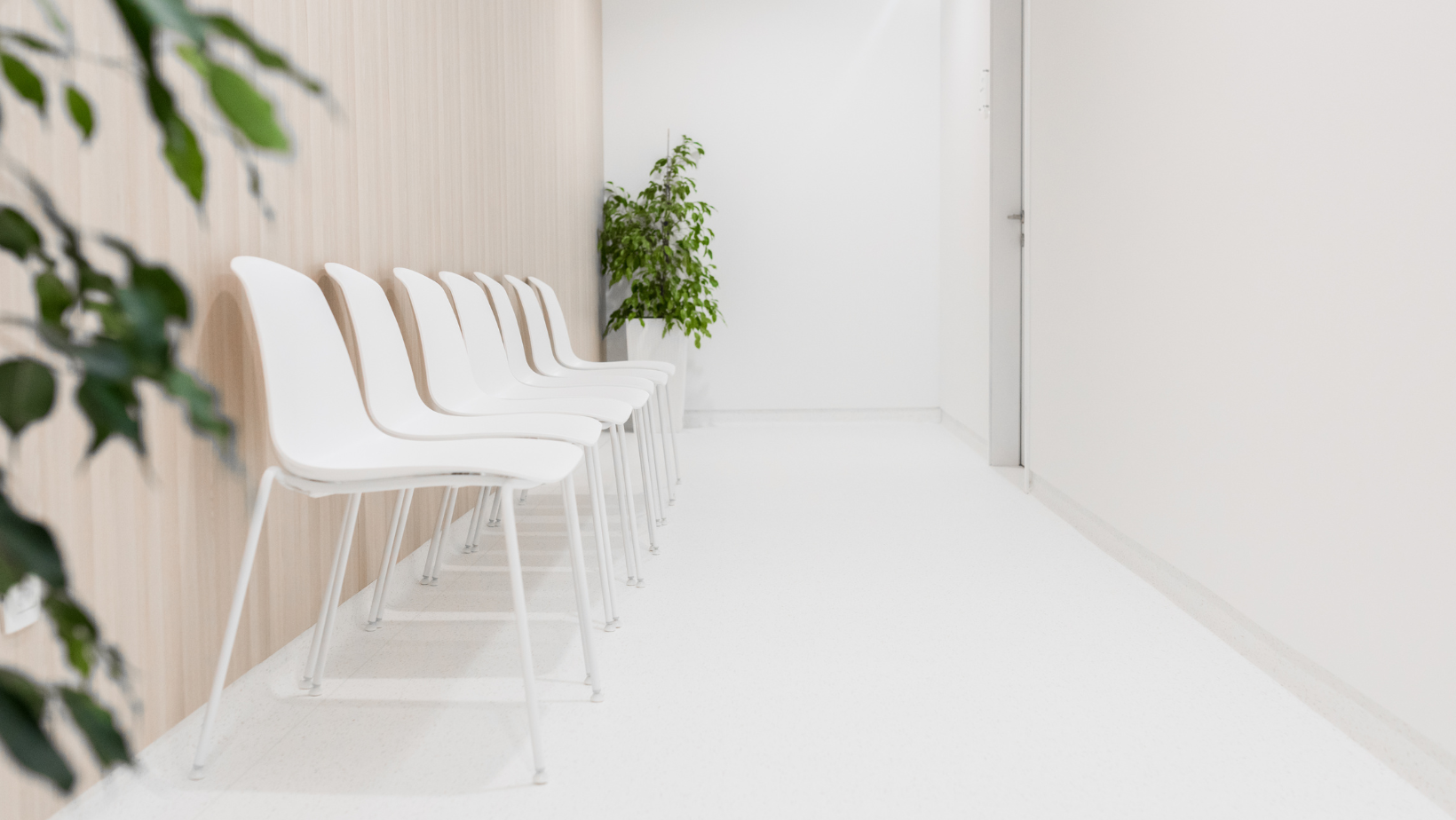 Skönhetsbranschens brister